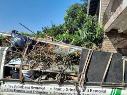 Best Moving and Downsizing Cleanouts  in Reidville, SC